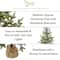 4ft. Pre-Lit Fraser Fir Artificial Christmas Tree, Clear LED Lights